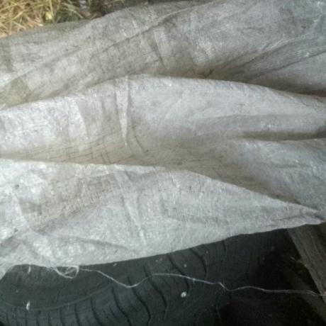 Couper en lanières de sacs de sous le sucre et enveloppé leurs troncs dans les arbres d'hiver.