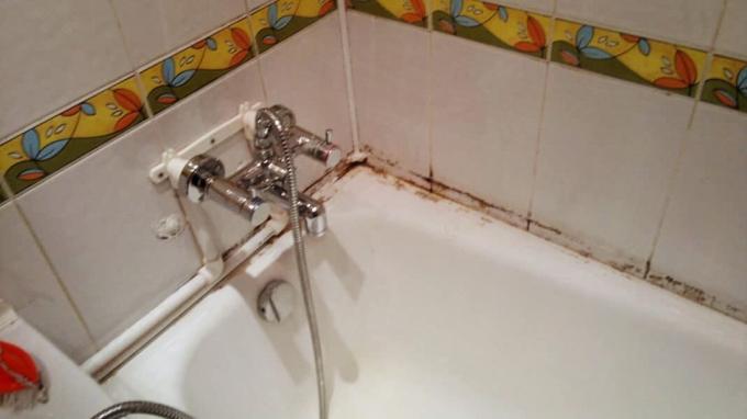 La moisissure dans la salle de bains comme un attribut de nombreux appartements | ZikZak 