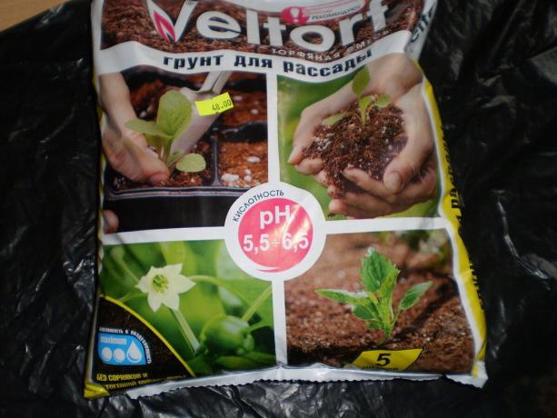 mélange de tourbe pour semis appropriés pour alto de plantation.