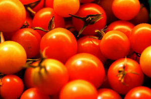 Engrais miracle utile pour les tomates d'une ortie