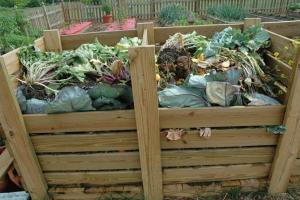 Comment réduire le temps de maturation du compost.