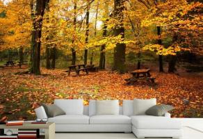 5 solutions étonnamment belles pour décorer les murs de votre maison ou de papier peint avec des motifs d'automne qui vous fera tomber amoureux