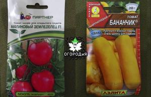 Variétés hybrides de mariage et de tomates