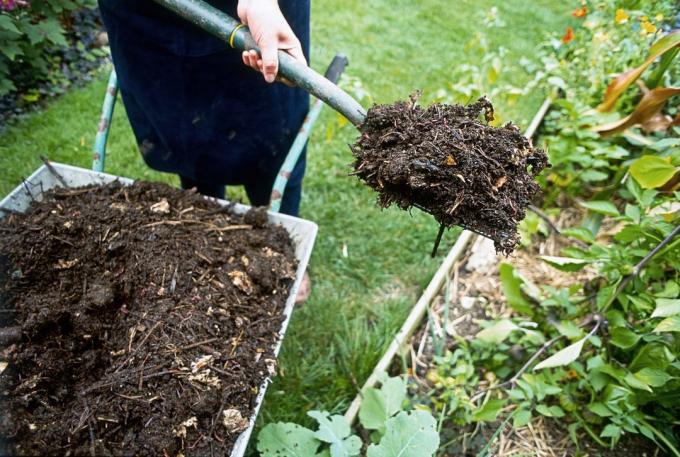 Aiguilles pour le compost | Jardinage & Horticulture