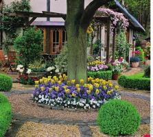 Automne - temps de bulbes de fleurs de plantes pour un jardin luxuriant