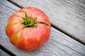 Cultivez délicieux et de bonnes tomates sur des lits