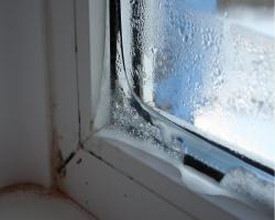 « Cri » fenêtres en plastique pourquoi la condensation sur les cadres de fenêtre et ce qu'il faut faire