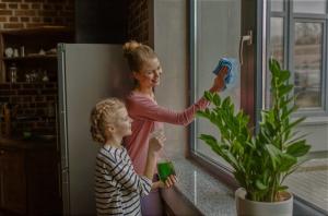Comment nettoyer les fenêtres, pour apporter plus d'avantages, pas de tort. 5 étapes faciles