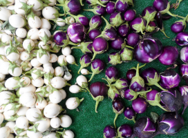 5 variétés inhabituelles de l'aubergine, qui vous surprendra!