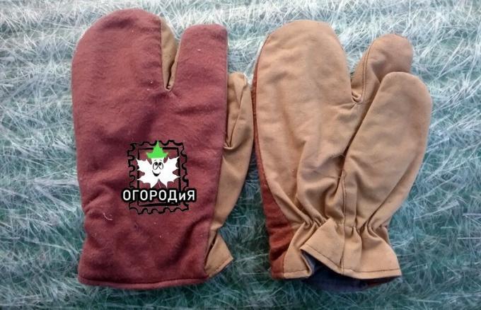 vieux gants coupe spéciale, pourquoi?