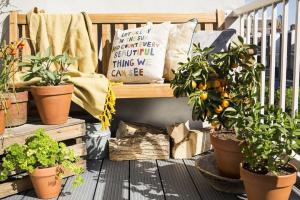 Comment décorer un petit balcon, des plantes et des fleurs. 9 solutions utiles.