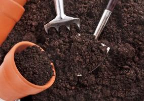 Prendre soin des semis à l'automne. la préparation du sol