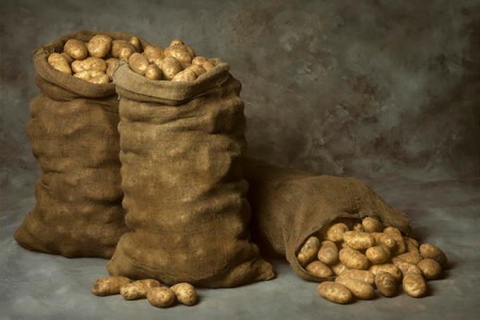 Le stockage des pommes de terre en hiver dans les sacs - grand, mais pas la seule façon!