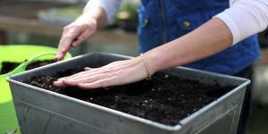 Le sol idéal pour semer des graines pour les semis.