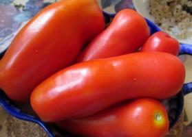 Tomate Zhigalo - variété sans prétention et peu commun, incroyablement prolifique!