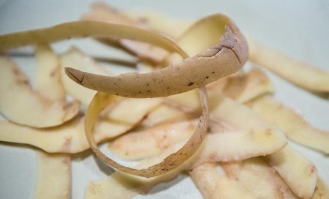 épluchures de pommes de terre - un produit de valeur (zhiteiskiesovety.ru)