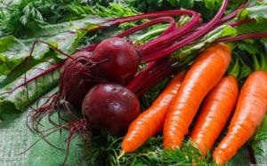 Quand la récolte des betteraves et des carottes de jardin, et comment le faire correctement