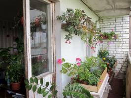 Comment équiper un jardin d'hiver sur le balcon
