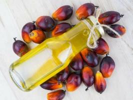 Quelles sont les qualités bénéfiques et nocives de l'huile de palme?