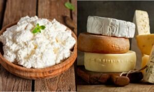 Utile que le fromage, s'il peut y avoir pour la perte de poids et la nuit