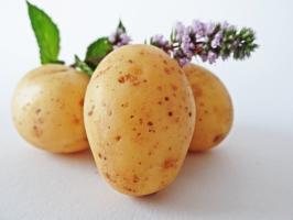 7 super tôt et délicieuses variétés de pommes de terre