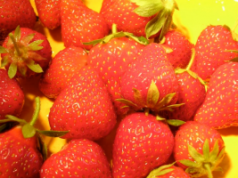 Faut-il craindre la pollinisation croisée de fraises?