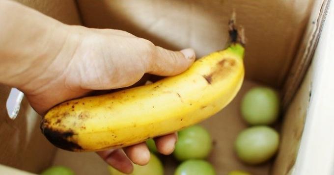 banane mûre accélère la maturation des tomates vertes