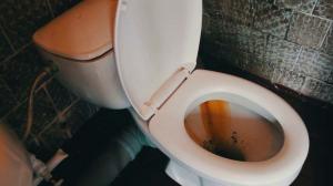 Comment nettoyer rapidement et facilement les toilettes de la rouille et la plaque jaune?