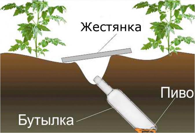 plan de conception site klopkan.ru