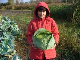 5 choses importantes à faire dans le jardin en Octobre pour une récolte riche en 2019