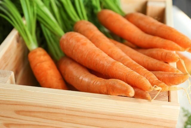 Les carottes dans une boîte. Photos de ogorod.ru
