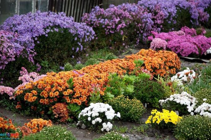 Exemple chute flowerbed