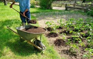 Engrais organique dans le jardin: 5 meilleur sans chimie