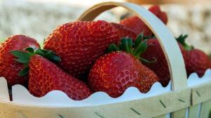 Que les fraises: utiles ou nuisibles?