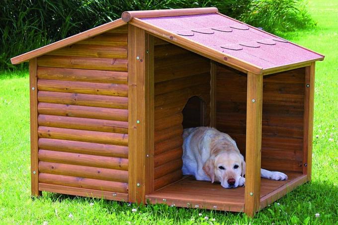 toit à deux versants dans la construction de cabines pour les chiens