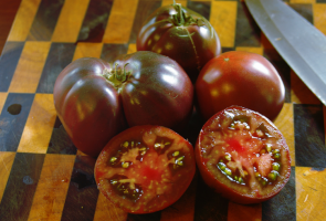 5 variétés de tomates délicieuses avec des notes de violette