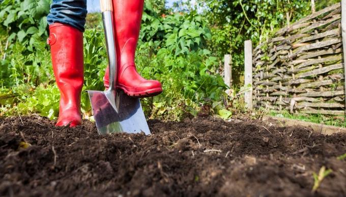 Les avantages et les inconvénients de creuser le sol dans la zone | Jardinage & Horticulture