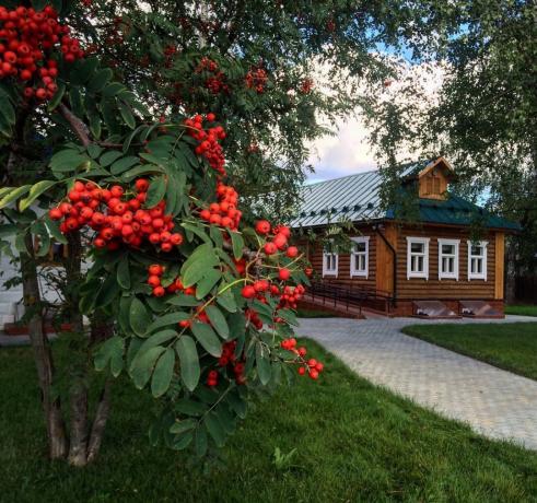 Rowan - un ornement traditionnel des villages russes! (Photo de playcast.ru)