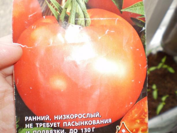 La variété de tomate « remplissage blanc 241 '