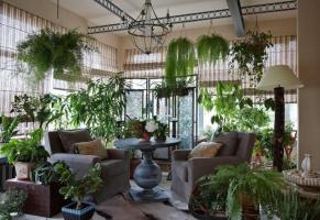 Comme original et décorer avec goût vos plantes, ce qui rend l'intérieur des chambres inoubliables. 6 idées de conception
