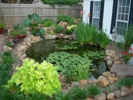 Comment faire un étang décoratif dans le pays