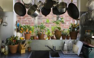 Comment les plantes et les herbes d'origine et pratique d'ajouter à l'intérieur à l'intérieur de votre cuisine. 7 conseils de conception